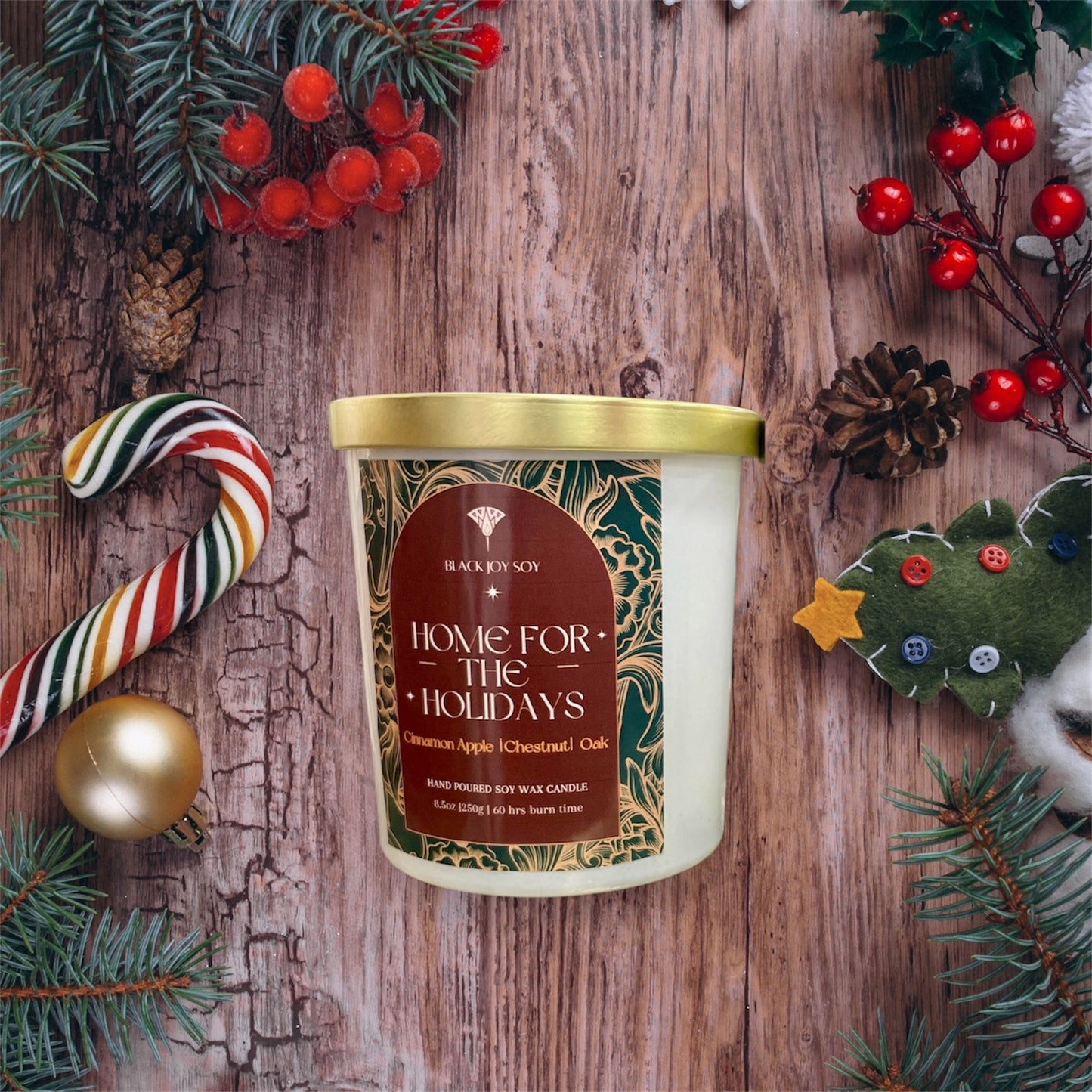 Home for the Holidays!